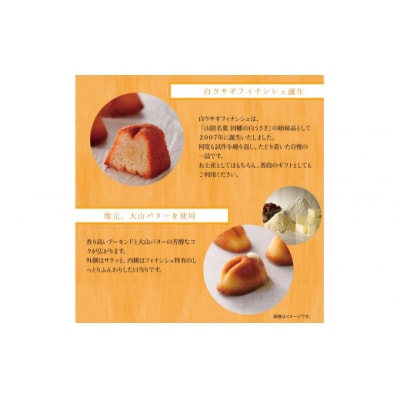 白ウサギフィナンシェ16個入