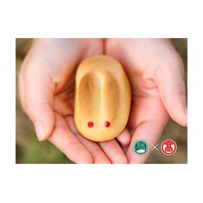 【寿製菓】白うさぎの玉手箱(大山ブランド会)