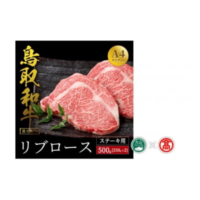 【だんだんキッチン】鳥取和牛　リブロースステーキ用(250g×2枚)(大山ブランド会)