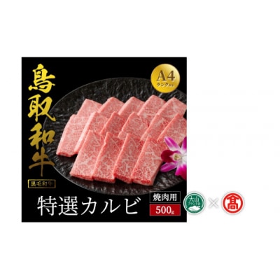 【だんだんキッチン】鳥取和牛　特選カルビ(500g)(大山ブランド会)