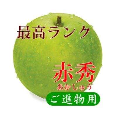 鳥取県産 二十世紀梨 “赤秀” 3kg (8〜9玉/4L～3Lサイズ)