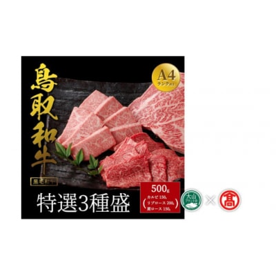 【だんだんキッチン】鳥取和牛　特選3種盛り(特選カルビ、リブロース、肩ロース)(大山ブランド会)