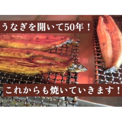 朝開き　うなぎ蒲焼特大　1尾入　タレ付