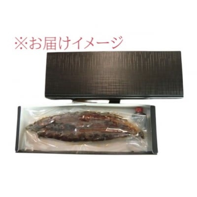朝開き　うなぎ蒲焼特大　1尾入　タレ付