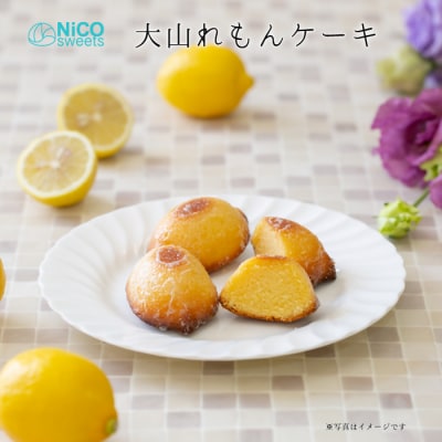 NiCO sweetsニコスイーツ　大山レモンケーキセット