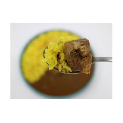 【鳥取県産】チキンスパイスカレー　鶏もも肉　4袋入り