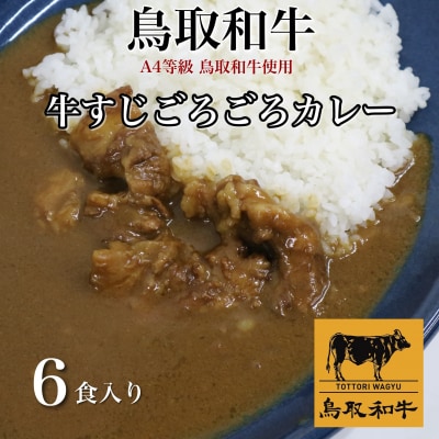 鳥取和牛　牛すじごろごろカレー 200g 6食入り