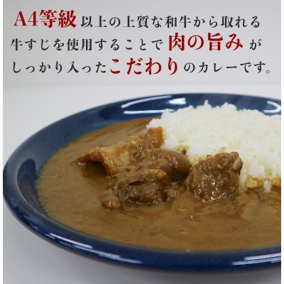 鳥取和牛　牛すじごろごろカレー 200g 6食入り