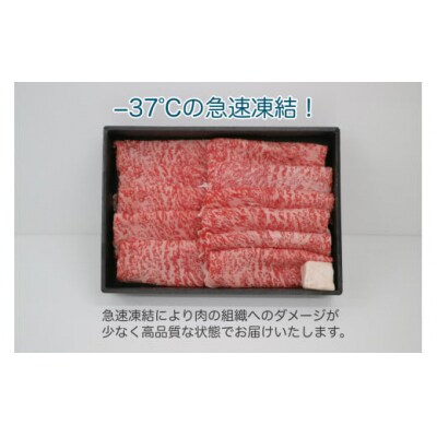 鳥取和牛A5等級　霜降りサーロインスライス　500g