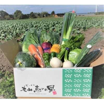 新鮮朝採れ野菜　お手頃セット