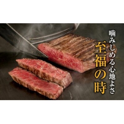 【HANAFUSA】鳥取和牛サーロインブロック10kg【髙島屋選定品】