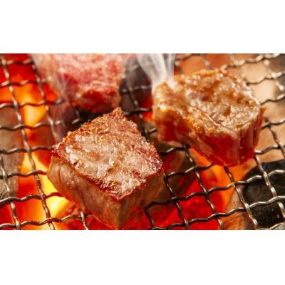【HANAFUSA】鳥取和牛サーロインブロック10kg【髙島屋選定品】