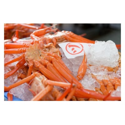 カット済〈生〉紅ずわい蟹2㎏セット