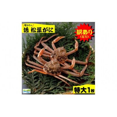 鳥取県産　訳あり(足欠け)活松葉がに(特大1枚)
