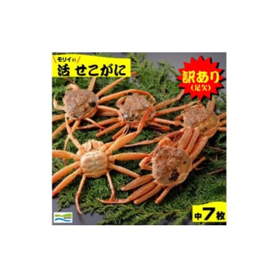 鳥取県産　訳あり(足欠け)活せこがに(中)(7枚)　松葉がに