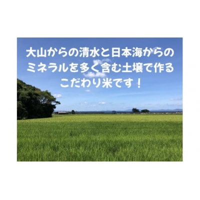 【2025年10月上旬より順次発送】鳥取県産特別栽培米「きぬむすめ」　令和7年産米