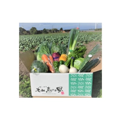 新鮮朝採れ野菜セット