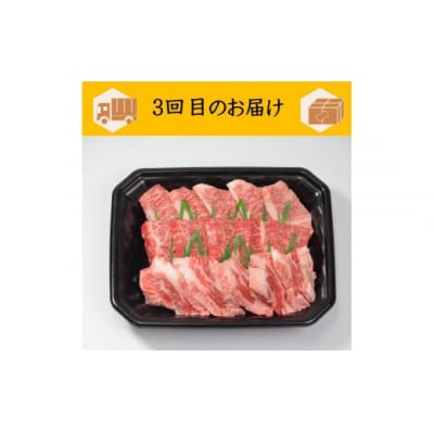 鳥取和牛　定期便　(3か月) (定期便・和牛)
