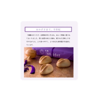 <寿製菓>因幡の白うさぎお菓子セット【髙島屋選定品】