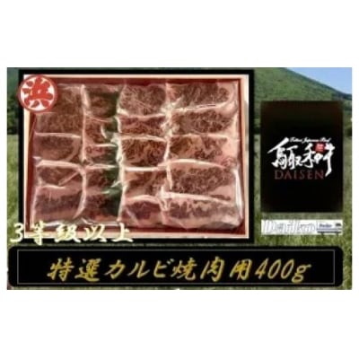 鳥取和牛DAISEN特選カルビ焼肉