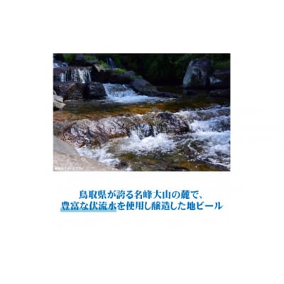 くめざくら　地ビール・地酒セット　計6本　BSY-6