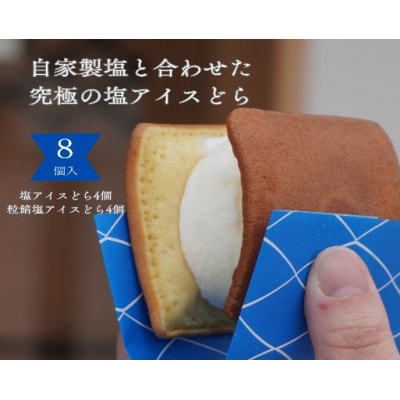 塩どら焼き専門店の塩アイスどら2種食べ比べ8個セット