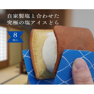 塩どら焼き専門店の塩アイスどら焼き8個セット