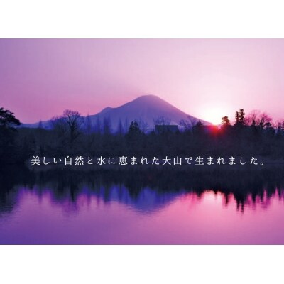 <大山ハム>食の匠工房6種12品詰合せ TK-30FNG_W【大山ブランド会】