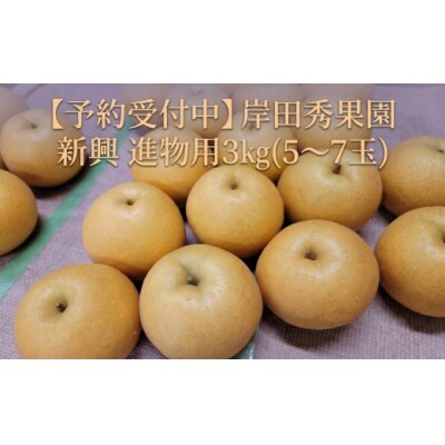 【予約受付中】岸田秀果園 新興 進物用3㎏