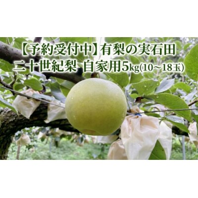 【予約受付中】有梨の実石田 二十世紀梨 自家用5㎏
