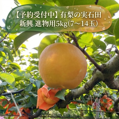 【予約受付中】有梨の実石田 新興 進物用5kg