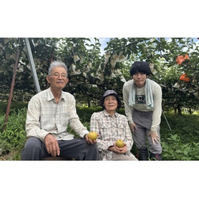【予約受付中】有梨の実石田 新興 進物用5kg