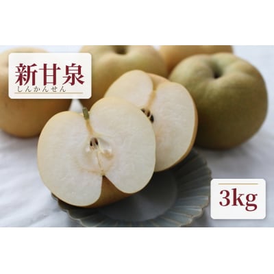 【クール便発送】鳥取県産新甘泉梨3kg