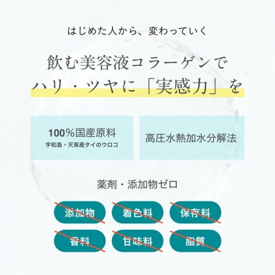 RUKEN コラーゲン個包装 33包入 2個セット