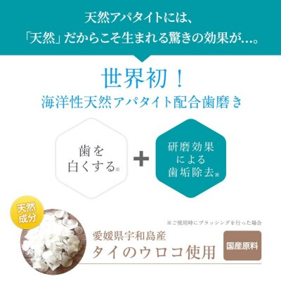 キラルンハミガキペースト歯磨き粉6点セット