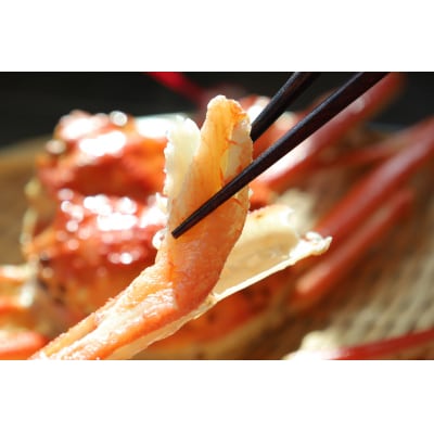 境港産ボイル松葉ガニ(タグ付き)