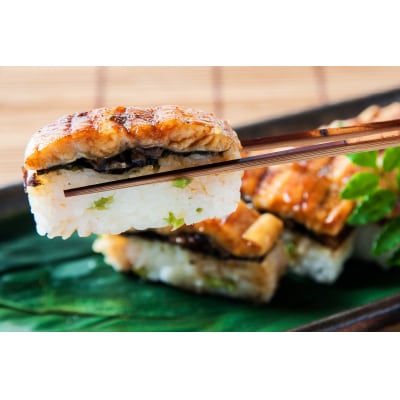 12月31日お届け限定!吾左衛門鮓 贅沢5種盛り合わせ