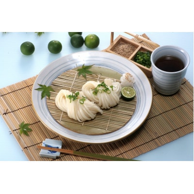 海津屋の氷見うどん　細麺2本つゆ付