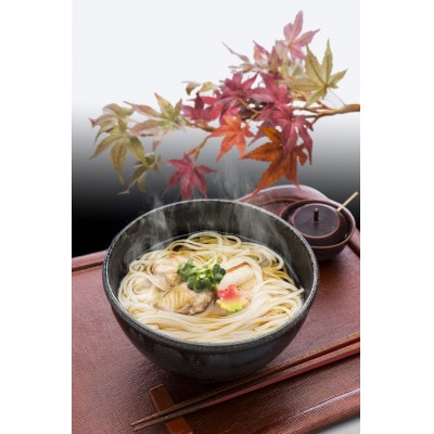 海津屋の氷見うどん　細麺2本つゆ付