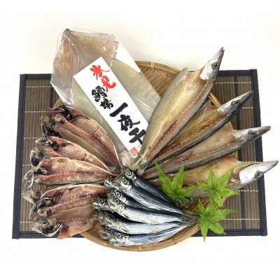 鱈場おすすめ!【氷見産新鮮魚一夜干し4種】カマス・アジ・いわし・するめいか一夜干し