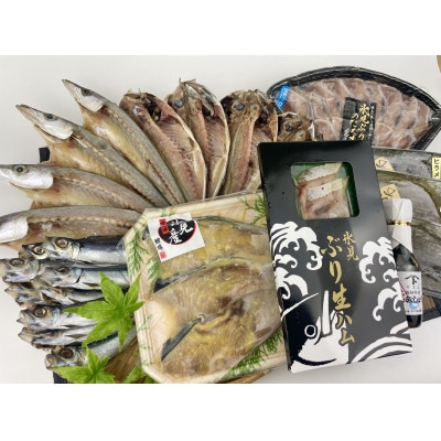 日本海氷見の幸10種!【氷見ぶり・昆布〆お刺身】鱈場おすすめ一夜干しセット