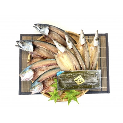 【富山県氷見産】無添加!旨い一夜干し「かます」「サバ」「こずくら」3種と氷見産昆布〆お刺身入りセット
