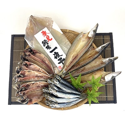 【毎月定期便】【日本海氷見の幸】旨いもん10種!「氷見ぶり」「一夜干し」「昆布〆お刺身」全3回