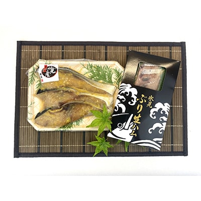 【毎月定期便】【日本海氷見の幸】旨いもん10種!「氷見ぶり」「一夜干し」「昆布〆お刺身」全3回
