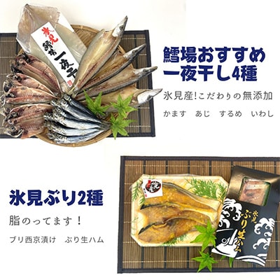 【毎月定期便】【日本海氷見の幸】旨いもん19種!氷見ぶり・一夜干し・昆布〆お刺身・氷見うどん全5回