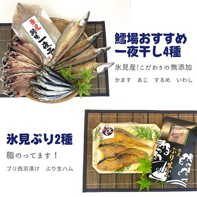 【毎月定期便】氷見の旨いもん22種!氷見ぶり・一夜干し・昆布〆お刺身・氷見うどん・ほたるいか全6回