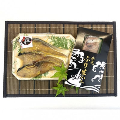 【2ヵ月毎定期便】【日本海氷見の幸】旨いもん10種!「氷見ぶり」「一夜干し」「昆布〆お刺身」全3回