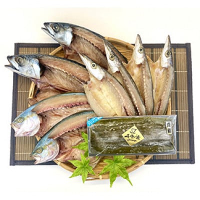 【2ヵ月毎定期便】【日本海氷見の幸】旨いもん10種!「氷見ぶり」「一夜干し」「昆布〆お刺身」全3回