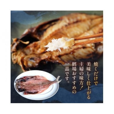【毎月定期便】【訳あり】あじの干物(約30cm)6枚全6回