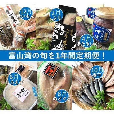 21年12月発送開始 定期便 富山湾の幸を旬に1年間定期便 氷見ぶり 白えび ほたるいか 全6回 お礼品詳細 ふるさと納税なら さとふる